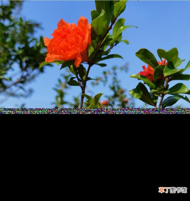 赞美5月的诗句大全 形容最美五月天的诗
