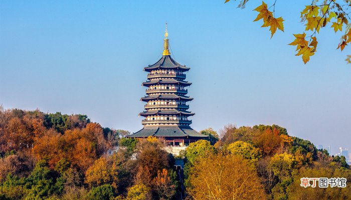 浙a是哪个城市