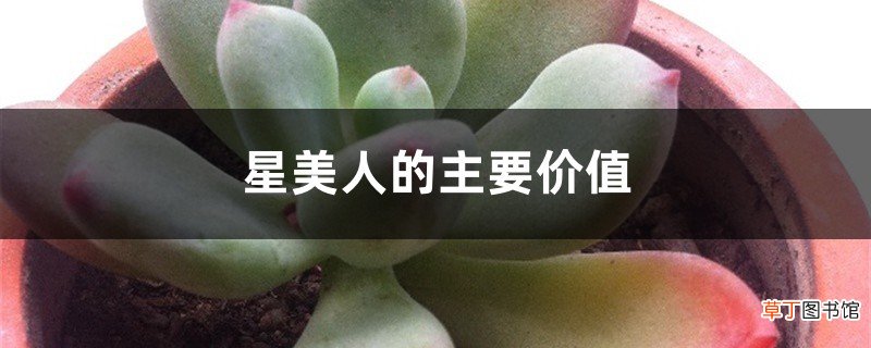 星美人的主要价值