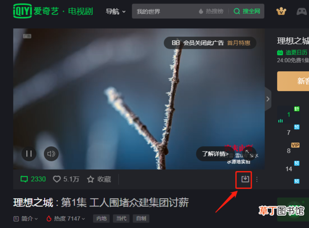 怎么将爱奇艺视频下载到电脑本地硬盘
