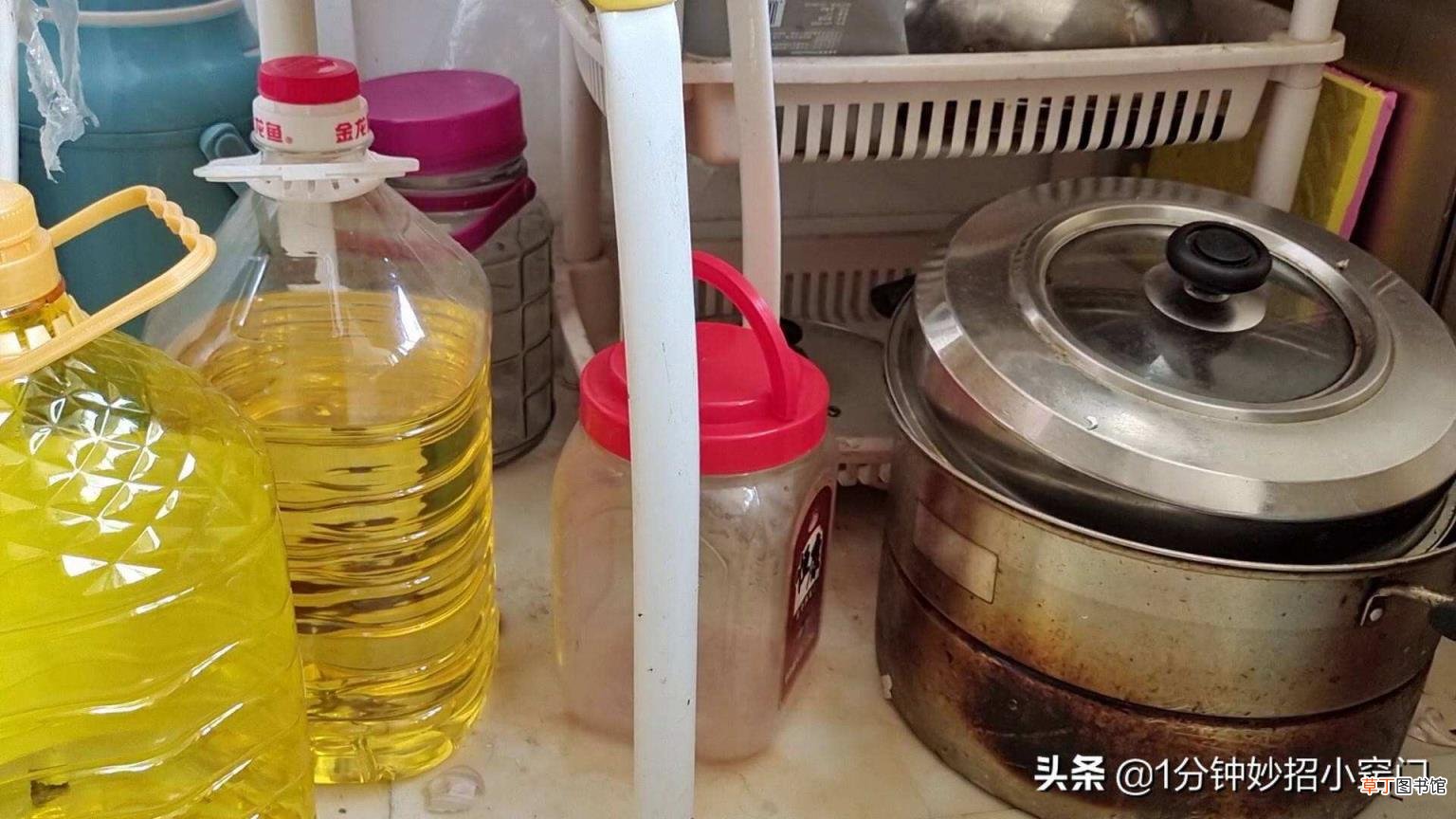 怎样根治蟑螂 怎么杀灭蟑螂