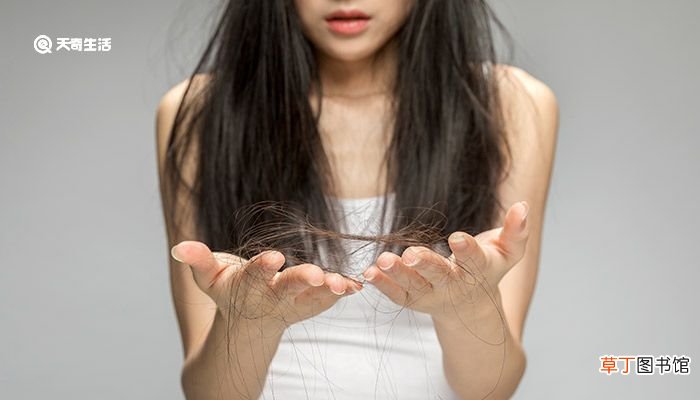 如何判断是油性还是干性发质 怎么判断是油性还是干性发质