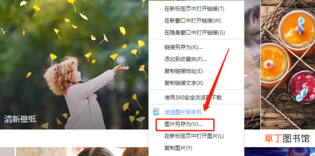 怎么将网上的图片保存到电脑