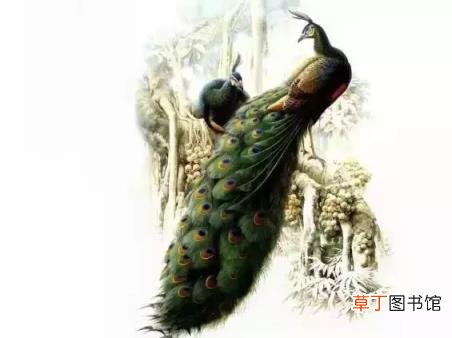诗句个性签名励志 比较文艺有深度的签名
