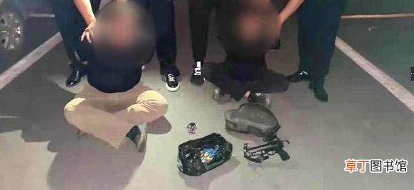 父子用毒镖射杀100多只狗?夏至为什么要吃狗肉