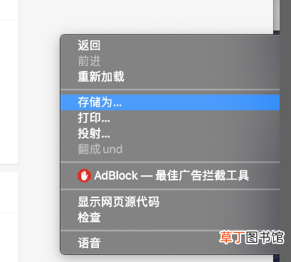 怎么将网页内容复制到word文档内