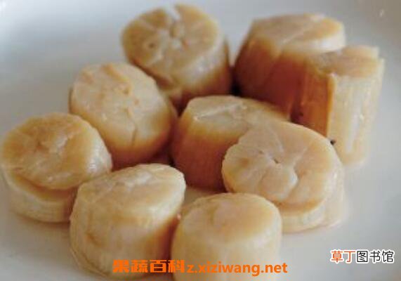 江瑶柱的功效与作用 江瑶柱的食用禁忌
