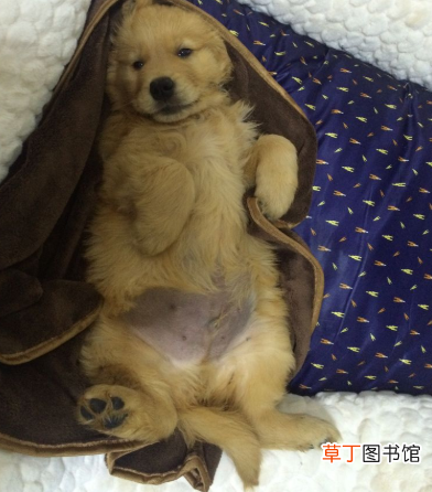 摸摸什么意思 摸摸是什么意思