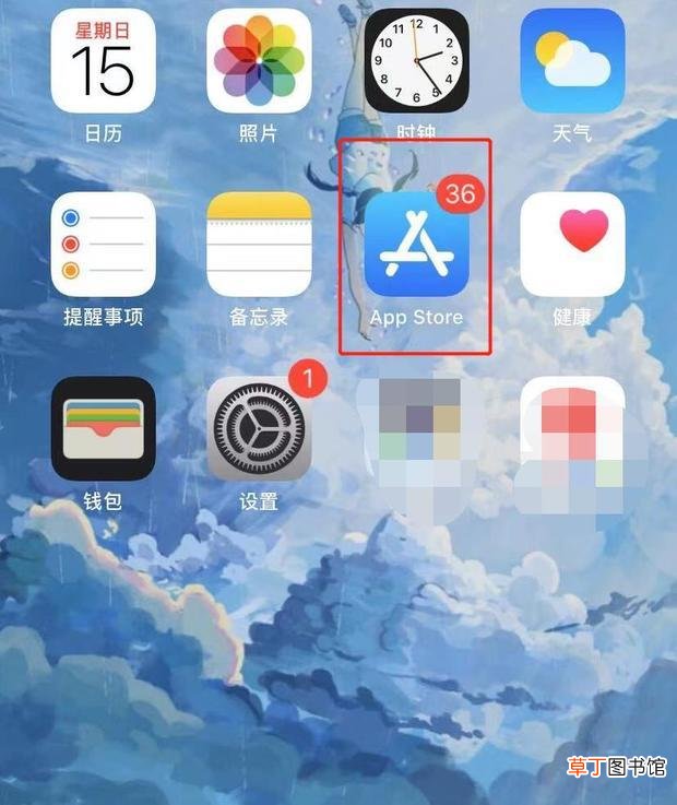 怎么在苹果手机上安装先锋影音播放器