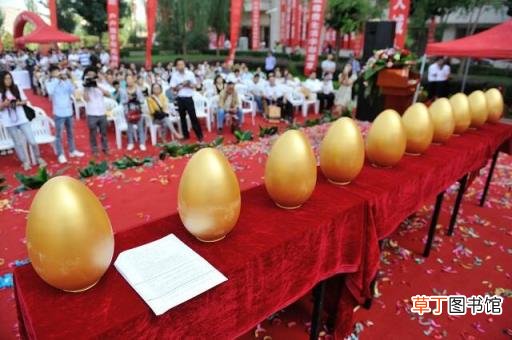 在家做手工活哪里有 寻找在家做的手工活