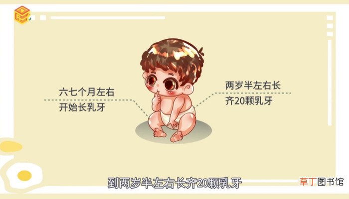 人有多少颗牙齿