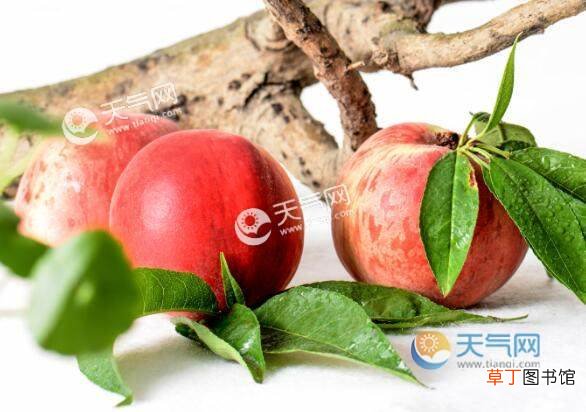 立秋各地十大传统美食 立秋吃什么传统小吃