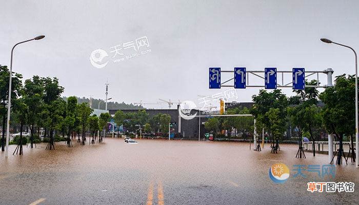 暴雨天气怎么安全避险 暴雨天气安全避险指南