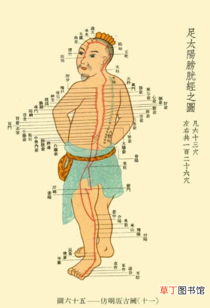 中医养生知识 经络按摩活络气血的秘诀