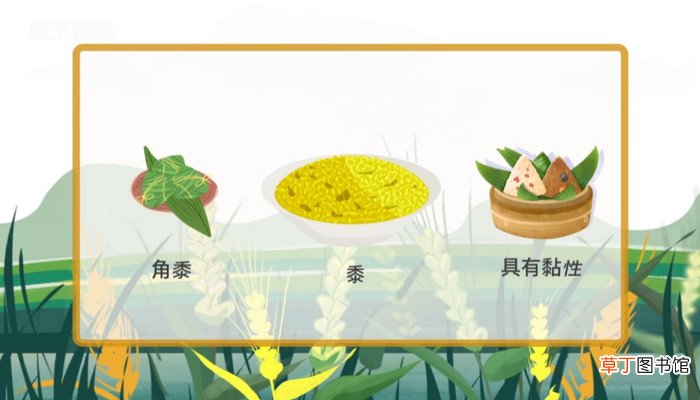 五谷杂粮是哪五种