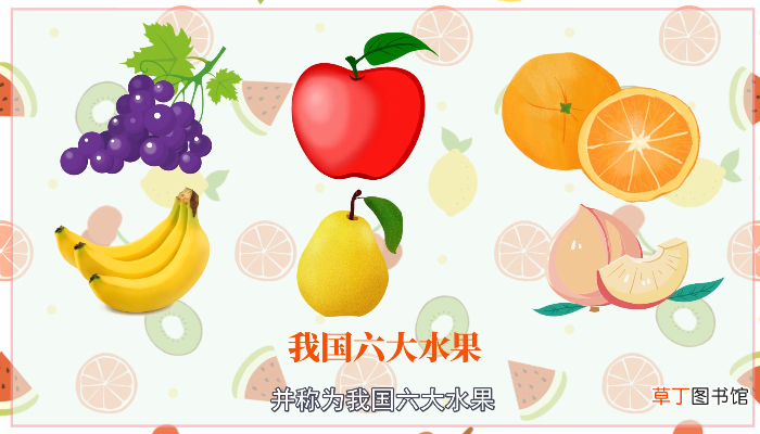 葡萄品种