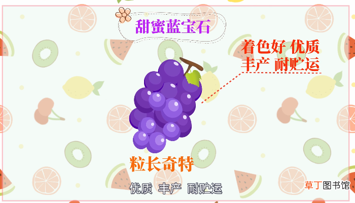 葡萄品种