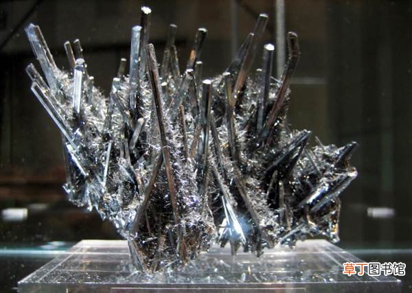 爷爷拉了爸爸吃：有什么奇效? 祖传永生丸