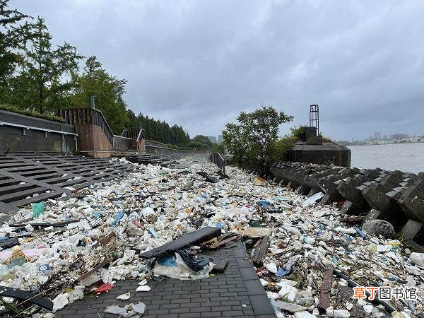 台风烟花过境后千米江堤变垃圾堆场?台风过后注意事项有哪些