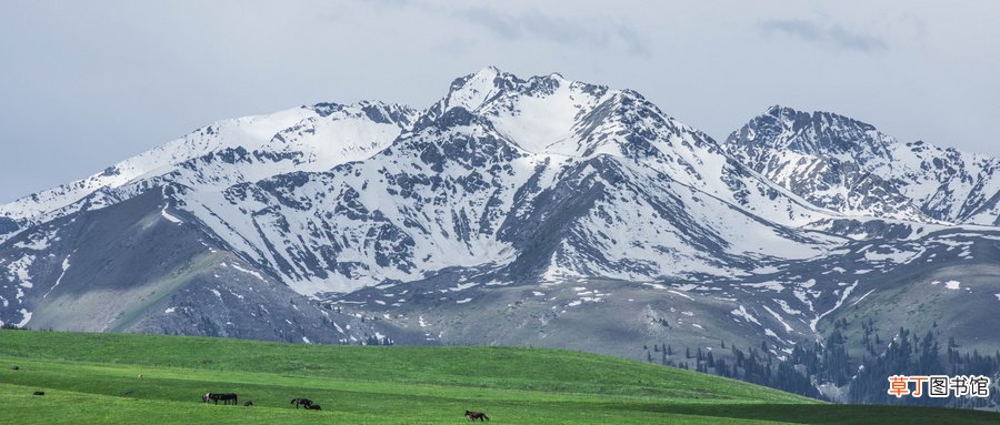 天山海拔高度是多少米