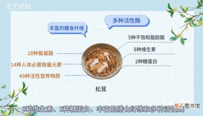 新鲜松茸怎么保存