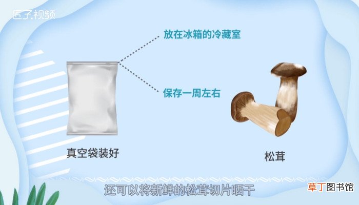 新鲜松茸怎么保存