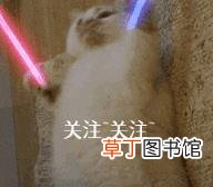驱虫一般几天能去干净 狗狗驱虫多久一次