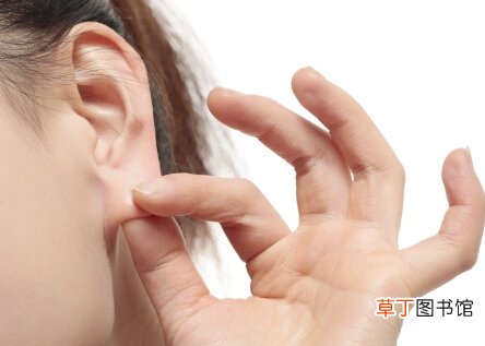 经常搓耳朵竟能美容 揭秘耳朵那些你不知道的好处