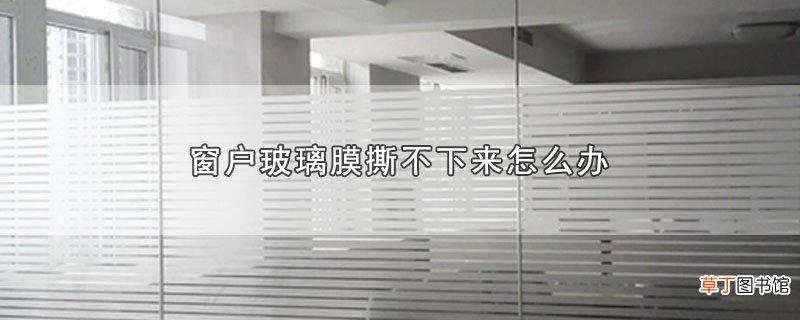 窗户玻璃膜撕不下来怎么办