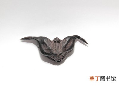 菱角的功效与作用