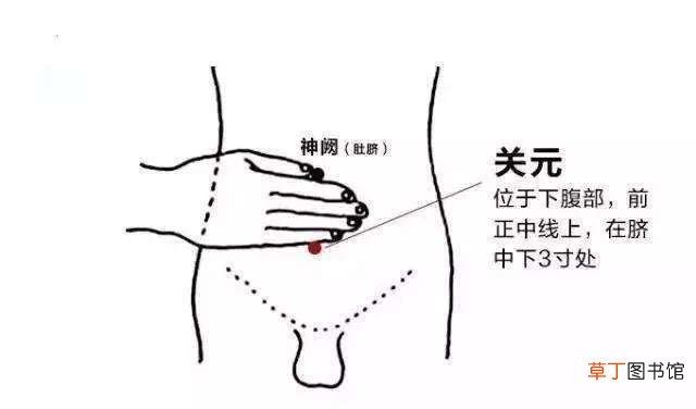 四大养生穴位的按摩方法　足三里治疗久病体虚