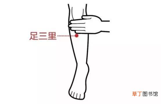 四大养生穴位的按摩方法　足三里治疗久病体虚