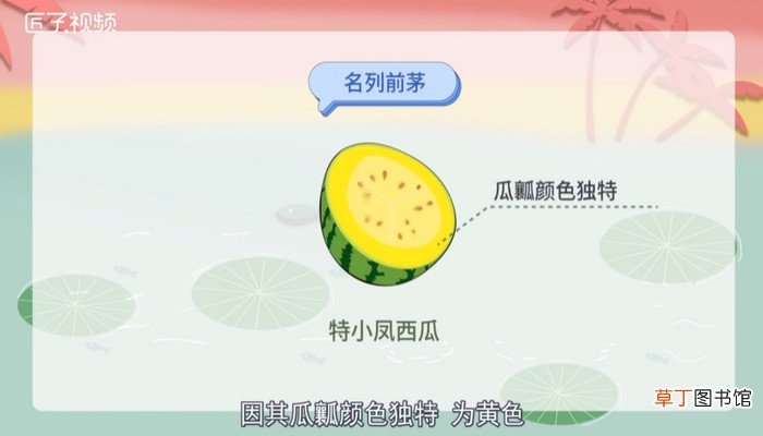 西瓜的种类