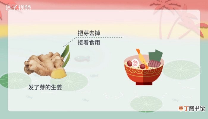 生姜发芽了还能不能吃