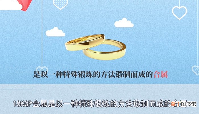 18kgp是什么金
