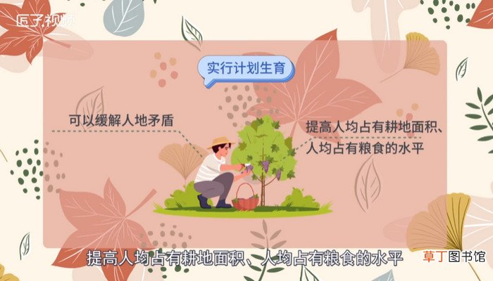 计划生育什么时候开始