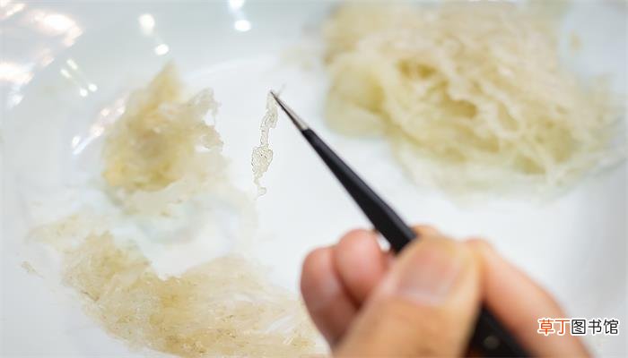 燕窝的来源和形成过程
