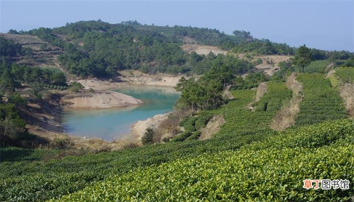 茶陵县属于哪个市
