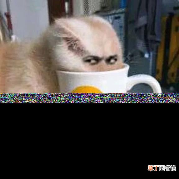 有四种人不适合考研 考研要准备多久