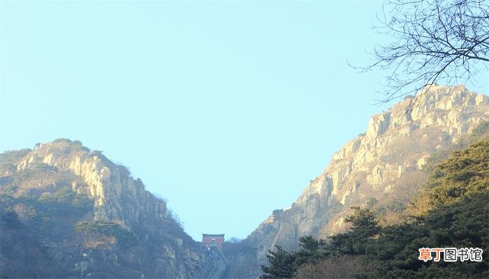东平县属于哪个市