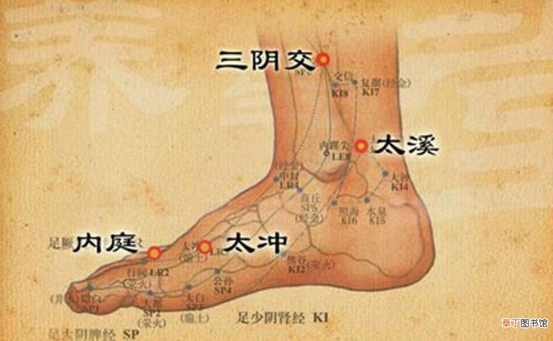 一个穴位搞定调经美容健脾补肾