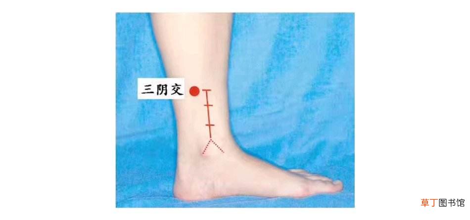 一个穴位搞定调经美容健脾补肾