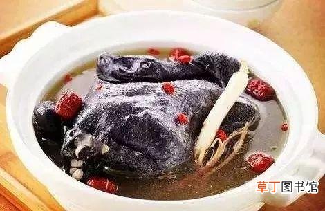 冬天喝什么药膳汤好-适合冬天喝的益补药膳汤