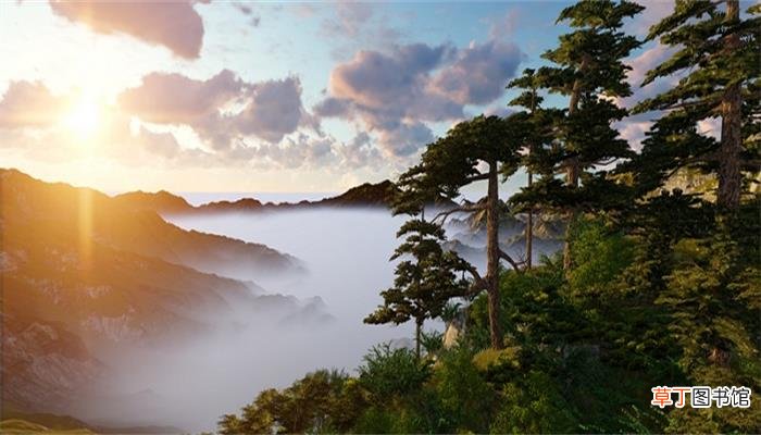 望岳是哪座山
