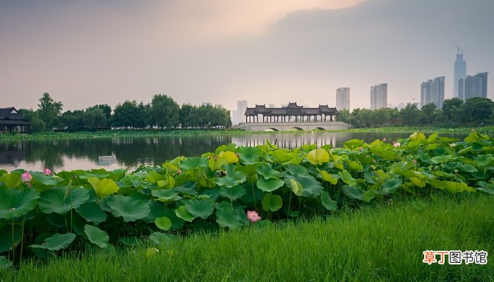 鹤岗属于哪个省