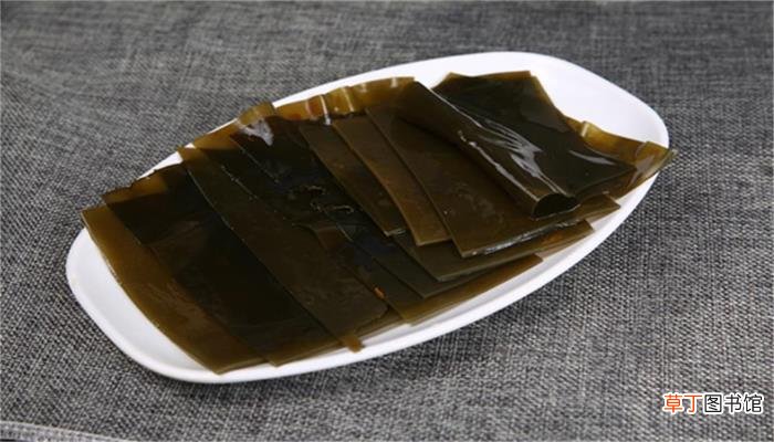 海带属于什么类