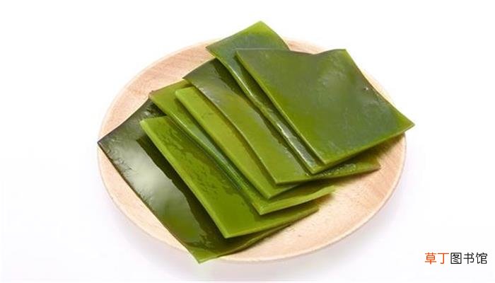 海带属于什么类