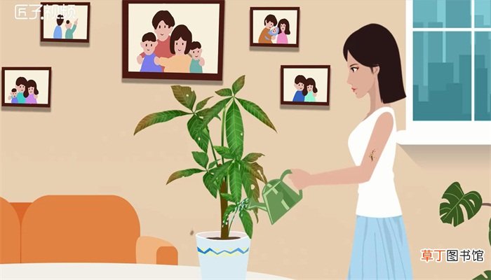 蚊子的由来