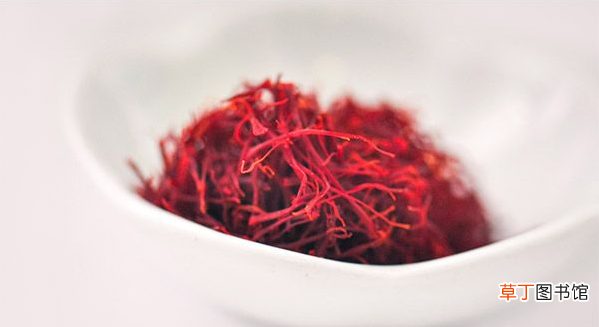 红花有哪些功效与作用-红花禁忌一览
