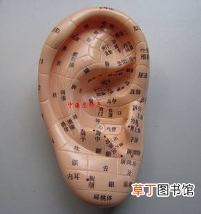 常对这3个部位按揉补肾效果好
